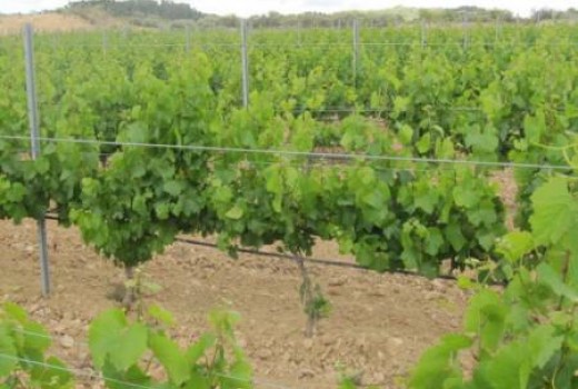 Inversión - Venta - Miami Playa - Miami Playa