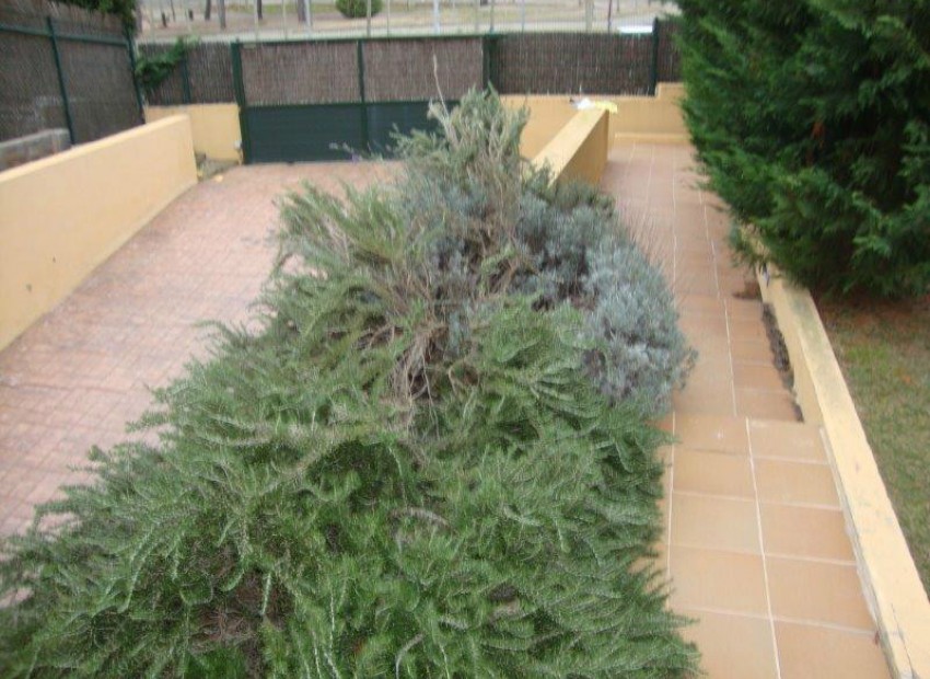 Sale - Chalet -
Begur, Calella de Palafrugell - mar