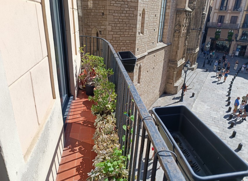 Sale - Piso -
Barcelona - El Gòtic