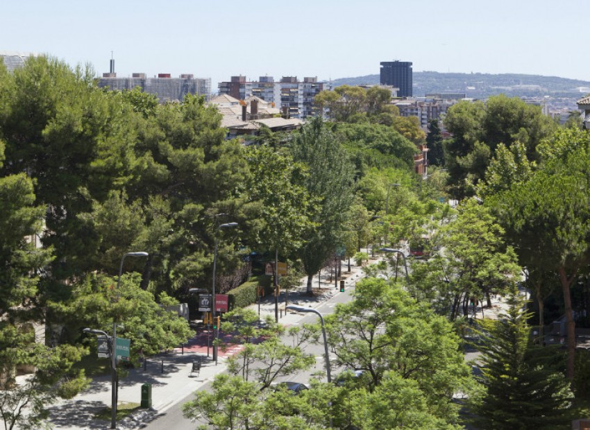 Sale - Piso -
Sarrià-Sant Gervasi-Pedralbes