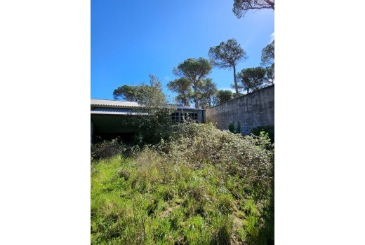 Venta - Terreno rural -
Patja de Aro - Sant Feliu de Guixols - Sant Antoni de Calonge - Costa