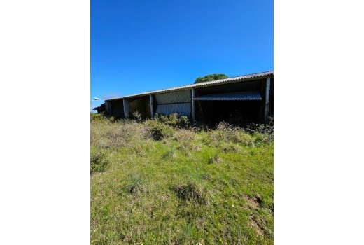 Venta - Terreno rural -
Patja de Aro - Sant Feliu de Guixols - Sant Antoni de Calonge - Costa