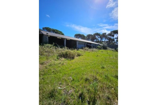 Venta - Terreno rural -
Patja de Aro - Sant Feliu de Guixols - Sant Antoni de Calonge - Costa