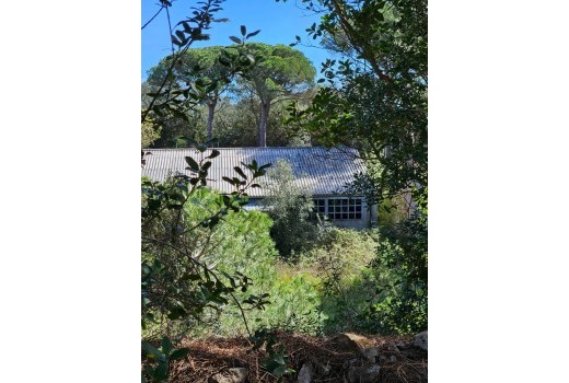 Venta - Terreno rural -
Patja de Aro - Sant Feliu de Guixols - Sant Antoni de Calonge - Costa