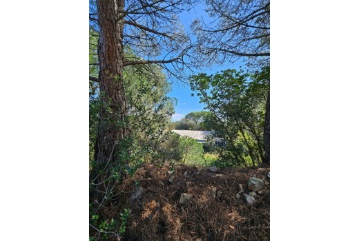 Venta - Terreno rural -
Patja de Aro - Sant Feliu de Guixols - Sant Antoni de Calonge - Costa