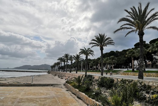 Venda - Piso -
Miami Playa