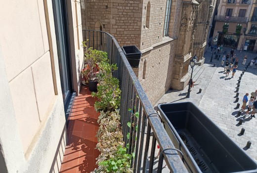 Venta - Piso -
Barcelona - El Gòtic