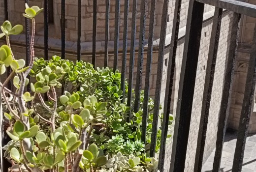 Venta - Piso -
Barcelona - El Gòtic