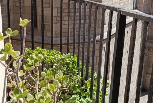 Venta - Piso -
Barcelona - El Gòtic