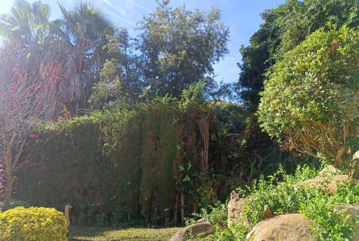 Venta - Chalet -
Lloret de mar - Blanes - Tossa de mar - 1